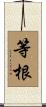 等根 Scroll