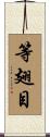 等翅目 Scroll