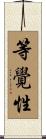 等覺性 Scroll