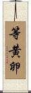 等黄卵 Scroll