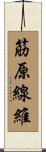 筋原線維 Scroll