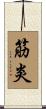 筋炎 Scroll