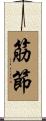 筋節 Scroll