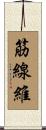 筋線維 Scroll