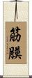 筋膜 Scroll