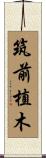 筑前植木 Scroll