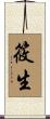 筱生 Scroll