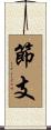 節支 Scroll