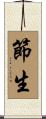 節生 Scroll