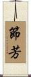 節芳 Scroll