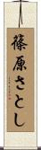 篠原さとし Scroll