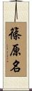 篠原名 Scroll