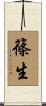篠生 Scroll