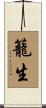 籠生 Scroll
