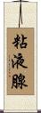 粘液腺 Scroll
