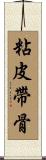 粘皮帶骨 Scroll