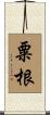 粟根 Scroll