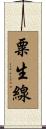 粟生線 Scroll