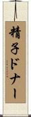 精子ドナー Scroll