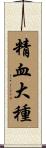精血大種 Scroll