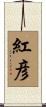 紅彦 Scroll