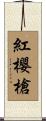 紅櫻槍 Scroll