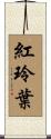 紅玲葉 Scroll