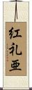 紅礼亜 Scroll