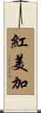 紅美加 Scroll