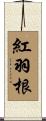 紅羽根 Scroll