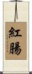 紅腸 Scroll