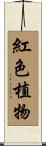 紅色植物 Scroll