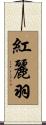 紅麗羽 Scroll