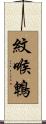 紋喉鵯 Scroll
