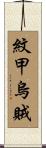 紋甲烏賊 Scroll