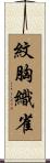 紋胸織雀 Scroll
