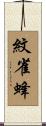 紋雀蜂 Scroll