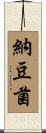 納豆菌 Scroll