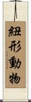 紐形動物 Scroll
