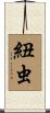 紐虫 Scroll