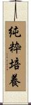 純粋培養 Scroll