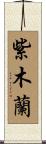 紫木蘭 Scroll