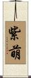 紫萌 Scroll