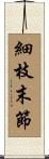 細枝末節 Scroll