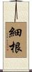 細根 Scroll
