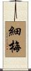細梅 Scroll