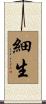 細生 Scroll