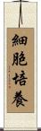 細胞培養 Scroll