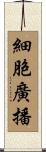 細胞廣播 Scroll