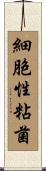 細胞性粘菌 Scroll
